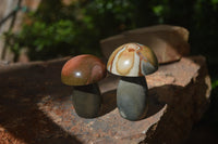 Polished Polychrome Jasper Mushrooms x 6 From Madagascar