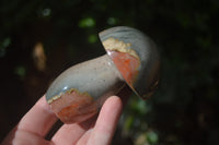 Polished Polychrome Jasper Mushrooms x 6 From Madagascar