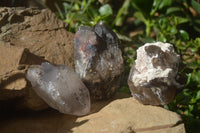 Natural Smokey Quartz Crystal Specimens x 3 From Zomba, Malawi