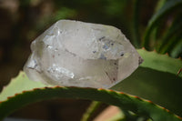 Natural Smokey Quartz Crystal Specimens x 3 From Zomba, Malawi