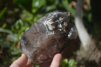 Natural Smokey Quartz Crystal Specimens x 3 From Zomba, Malawi