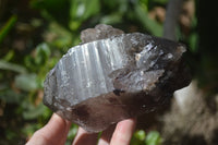 Natural Smokey Quartz Crystal Specimens x 3 From Zomba, Malawi