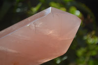 Polished Double Terminated Rose Quartz Points x 2 Madagascar