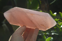 Polished Double Terminated Rose Quartz Points x 2 Madagascar