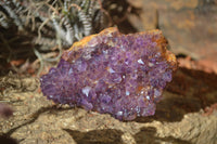 Natural Amethystos Amethyst Specimens x 6 From Kwaggafontein, South Africa