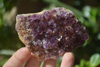 Natural Amethystos Amethyst Specimens x 6 From Kwaggafontein, South Africa