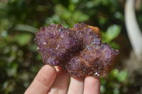 Natural Amethystos Amethyst Specimens x 6 From Kwaggafontein, South Africa