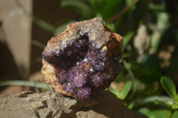 Natural Amethystos Amethyst Specimens x 6 From Kwaggafontein, South Africa