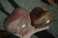 Polished Red Podocarpus Petrified Wood Hearts x 2 From Madagascar