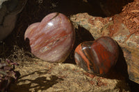 Polished Red Podocarpus Petrified Wood Hearts x 2 From Madagascar