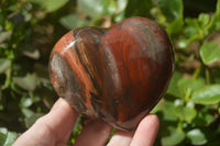 Polished Red Podocarpus Petrified Wood Hearts x 2 From Madagascar