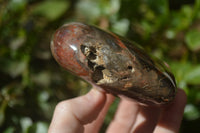 Polished Red Podocarpus Petrified Wood Hearts x 2 From Madagascar