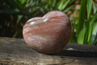 Polished Red Podocarpus Petrified Wood Hearts x 2 From Madagascar