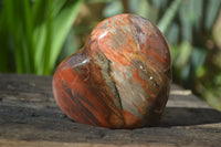 Polished Red Podocarpus Petrified Wood Hearts x 2 From Madagascar