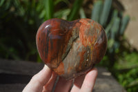 Polished Red Podocarpus Petrified Wood Hearts x 2 From Madagascar