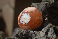 Polished Carnelian Palm Stones x 24 From Madagascar