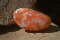 Polished Carnelian Palm Stones x 24 From Madagascar