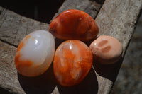 Polished Carnelian Palm Stones x 24 From Madagascar