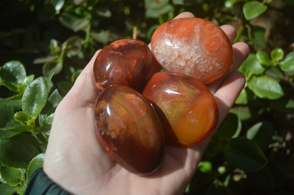 Polished Carnelian Palm Stones x 24 From Madagascar