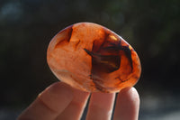 Polished Carnelian Palm Stones x 24 From Madagascar