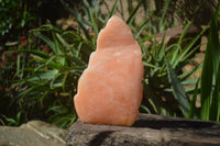 Polished Orange Twist Calcite Leaf Sculpture x 1 From Maevantanana, Madagascar