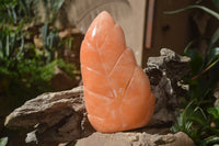 Polished Orange Twist Calcite Leaf Sculpture x 1 From Maevantanana, Madagascar