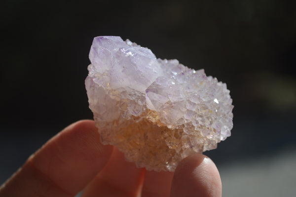 Natural Ametrine Spirit Quartz Crystals x 24 From Boekenhouthoek, South Africa