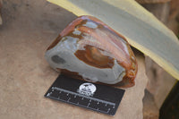 Polished On One Side Polychrome Jasper Nodules x 3 From Mahajanga, Madagascar