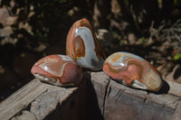 Polished On One Side Polychrome Jasper Nodules x 3 From Mahajanga, Madagascar