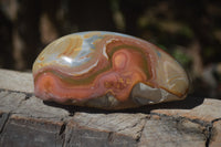 Polished On One Side Polychrome Jasper Nodules x 3 From Mahajanga, Madagascar