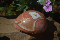 Polished On One Side Polychrome Jasper Nodules x 3 From Mahajanga, Madagascar