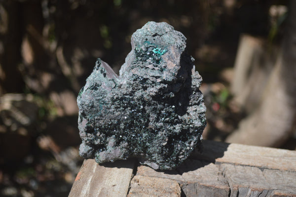 Natural Libethenite Crystals On Dolomite Matrix Specimen x 1 From Shituru, Congo