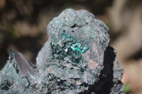 Natural Libethenite Crystals On Dolomite Matrix Specimen x 1 From Shituru, Congo