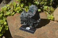 Natural Libethenite Crystals On Dolomite Matrix Specimen x 1 From Shituru, Congo