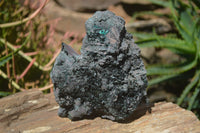 Natural Libethenite Crystals On Dolomite Matrix Specimen x 1 From Shituru, Congo