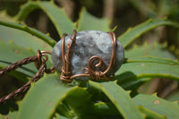 Polished Mixed Copper Wire Wrapped Pendants x 6 From Southern Africa