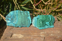 Polished Flower Banded Malacolla Slices x 6 From Kalukundi Mine, Congo