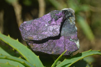 Natural Metallic Purpurite Cobbed Specimens x 12 From Erongo, Namibia