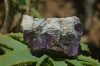 Natural Metallic Purpurite Cobbed Specimens x 12 From Erongo, Namibia