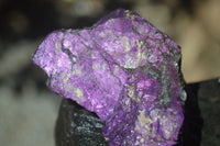 Natural Metallic Purpurite Cobbed Specimens x 12 From Erongo, Namibia