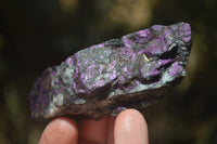 Natural Metallic Purpurite Cobbed Specimens x 12 From Erongo, Namibia