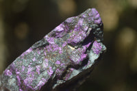 Natural Metallic Purpurite Cobbed Specimens x 12 From Erongo, Namibia