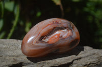 Polished Carnelian Standing Free Forms x 12 From Madagascar