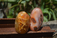 Polished Carnelian Standing Free Forms x 12 From Madagascar