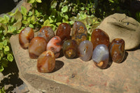 Polished Carnelian Standing Free Forms x 12 From Madagascar