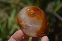 Polished Carnelian Standing Free Forms x 12 From Madagascar