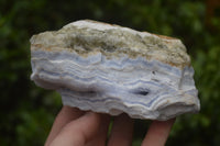 Natural Crystalline Blue Lace Agate Specimens x 3 From Namibia