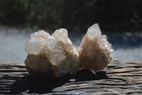 Natural Cascading Smokey Quartz Clusters x 2 From Luena, Congo