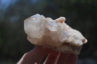 Natural Cascading Smokey Quartz Clusters x 2 From Luena, Congo