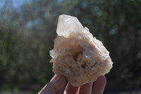 Natural Cascading Smokey Quartz Clusters x 2 From Luena, Congo